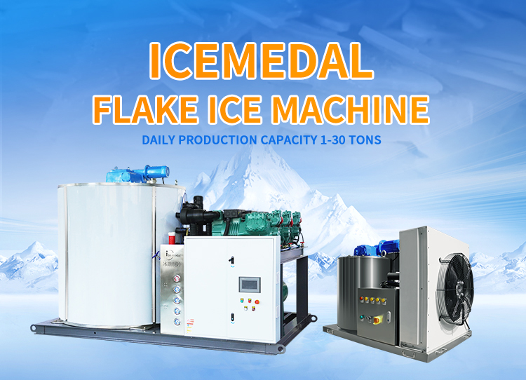Mesin Ice Flake