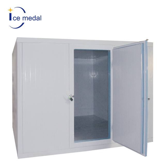 Ais Medal Walk in Freezer 20ft Container Cold Room Container Chambre Froide untuk Dijual