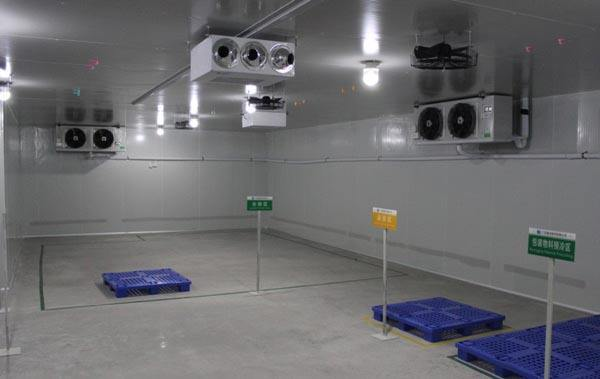 Bagaimana untuk meningkatkan penyejukan Cold Storage dengan berkesan?