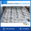 Barisan Pengeluaran Ais Kiub Automatik Penuh Dengan Sistem Pembungkusan Untuk Kilang Ais