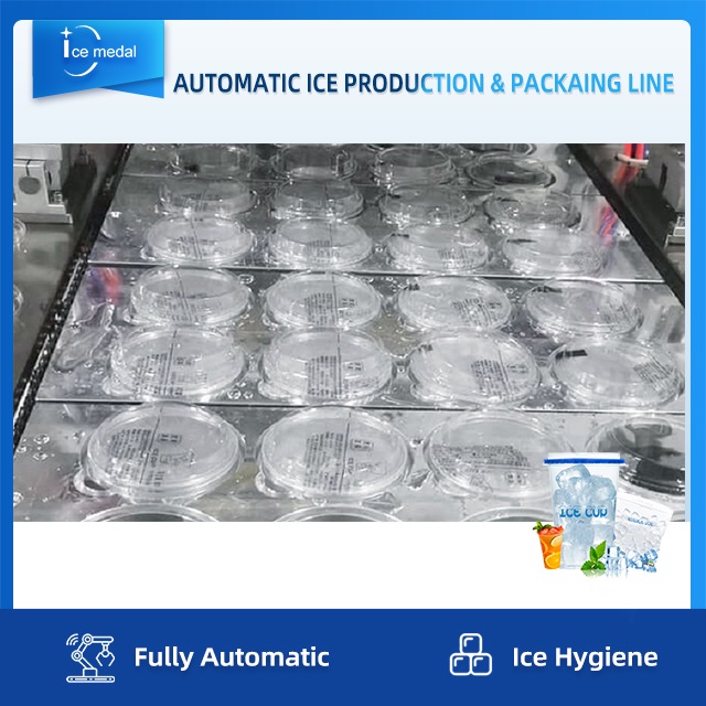 Barisan Pengeluaran Ais Kiub Automatik Penuh Dengan Sistem Pembungkusan Untuk Kilang Ais