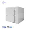 Ais Medal Walk in Freezer 20ft Container Cold Room Container Chambre Froide untuk Dijual