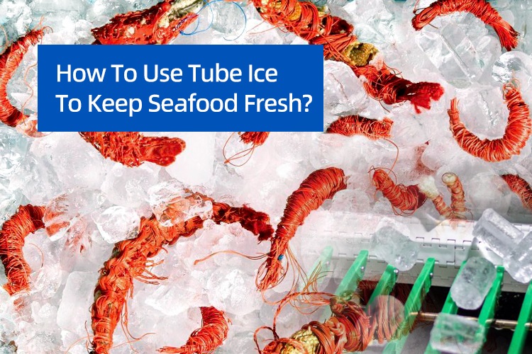 Bagaimana menggunakan ais tiub untuk menjaga makanan laut segar?