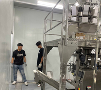 Icemedal 10tan kapasiti harian besar kiub kiub boleh dimakan pelanggan kilang ais